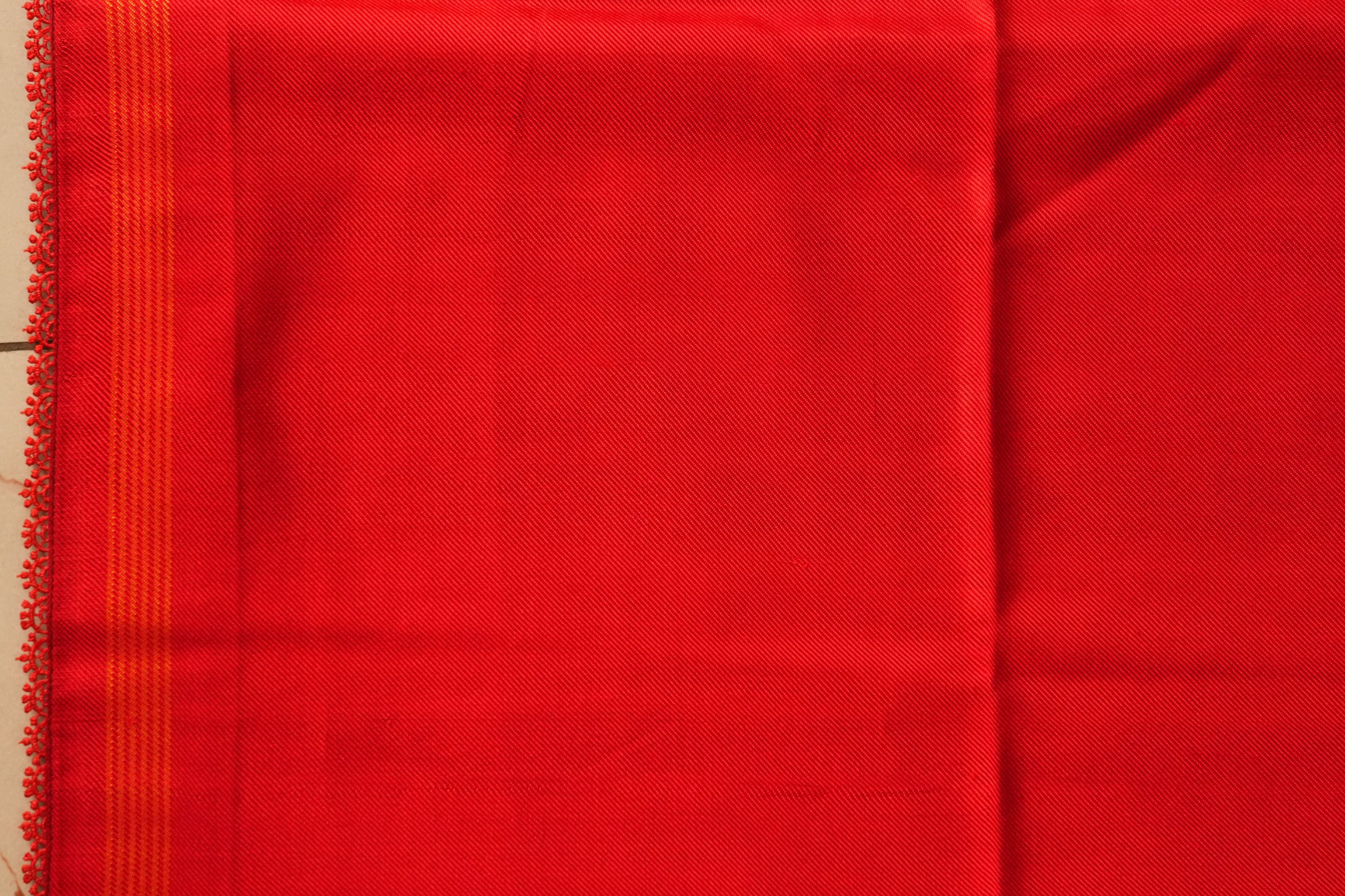 Aranyam Red and Maroon Twill Patola Saree