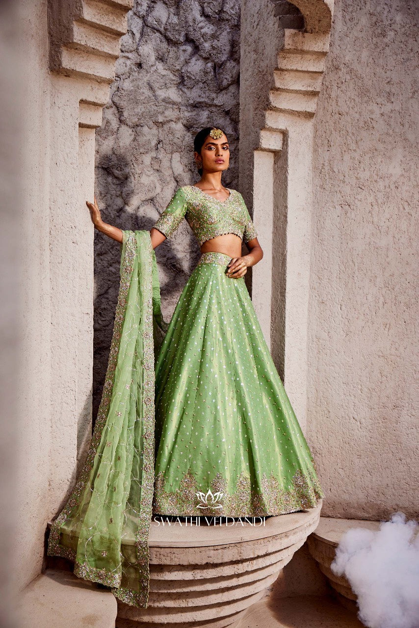 Beyond euphoria Lehenga Set