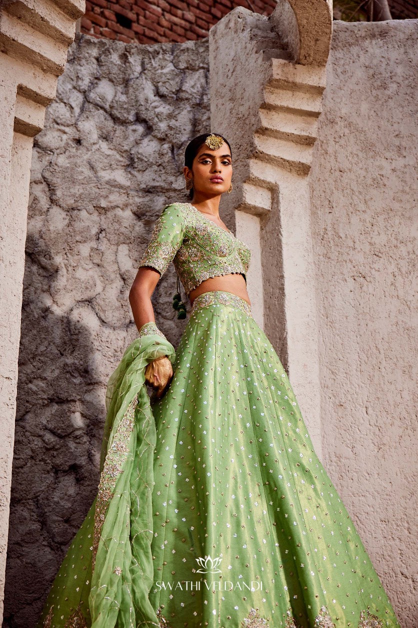 Beyond euphoria Lehenga Set