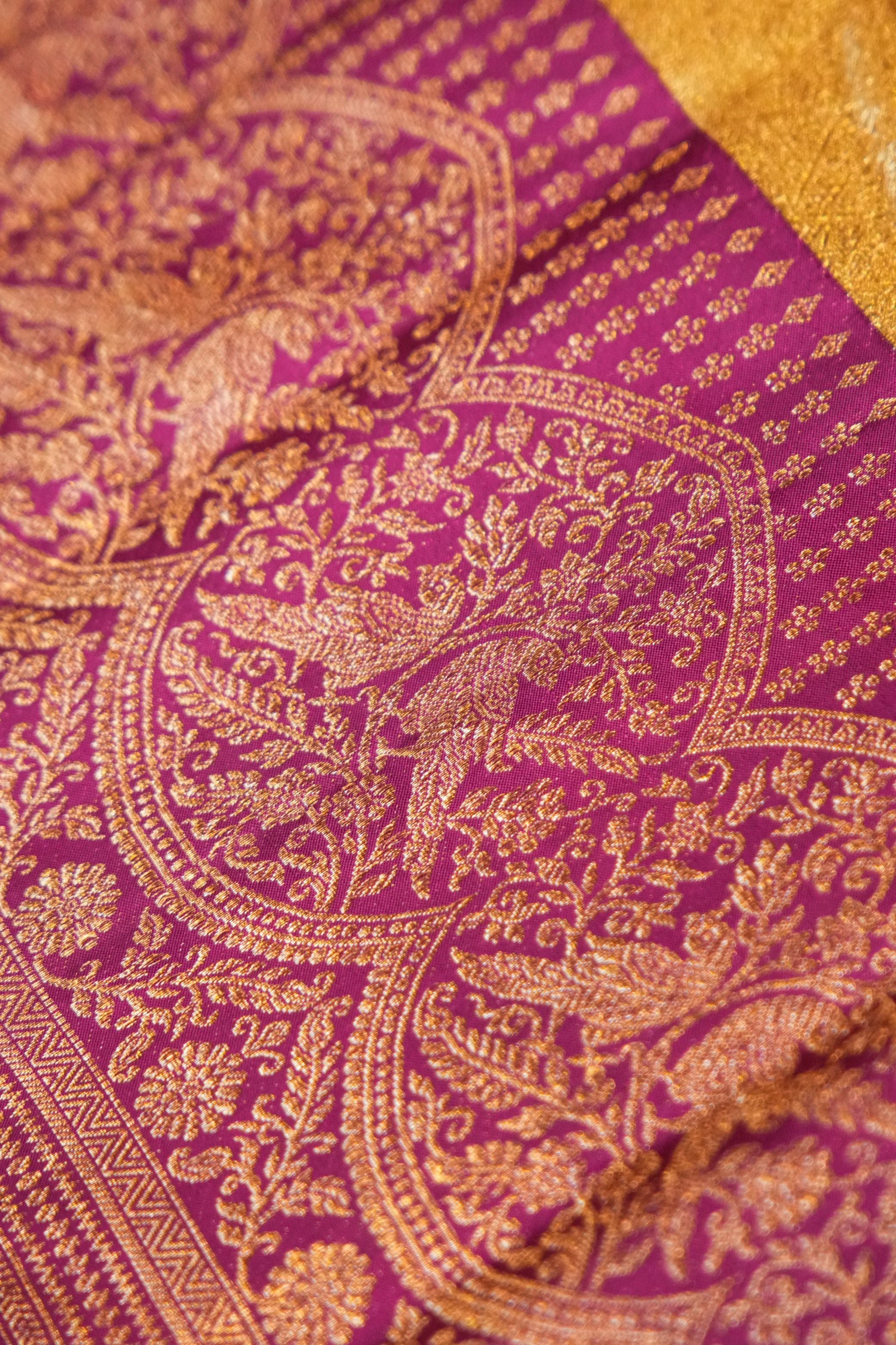 Dark Gold Saree with Contrast Wine Border