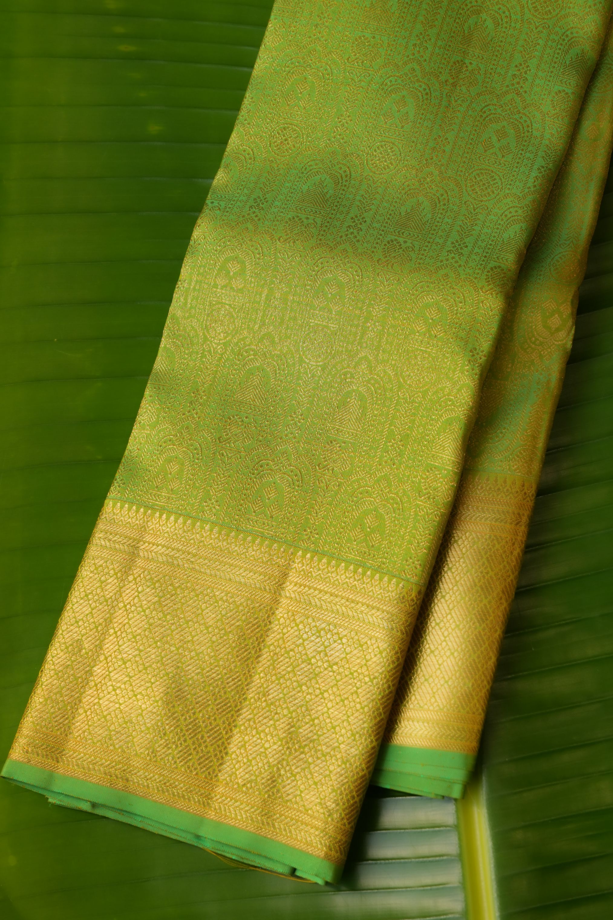 Parrot Green Tissue Kanchi Saree
