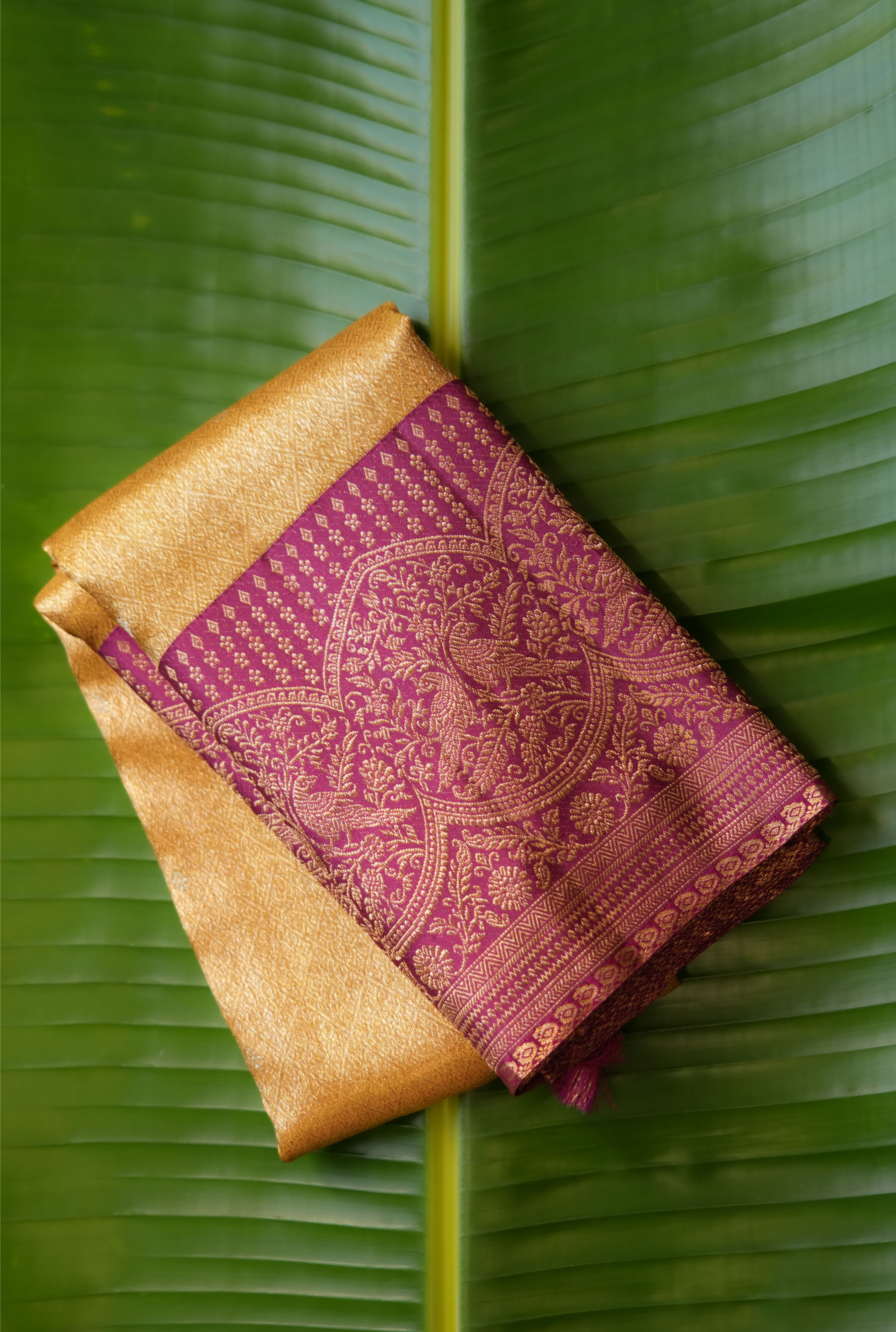 Dark Gold Saree with Contrast Wine Border