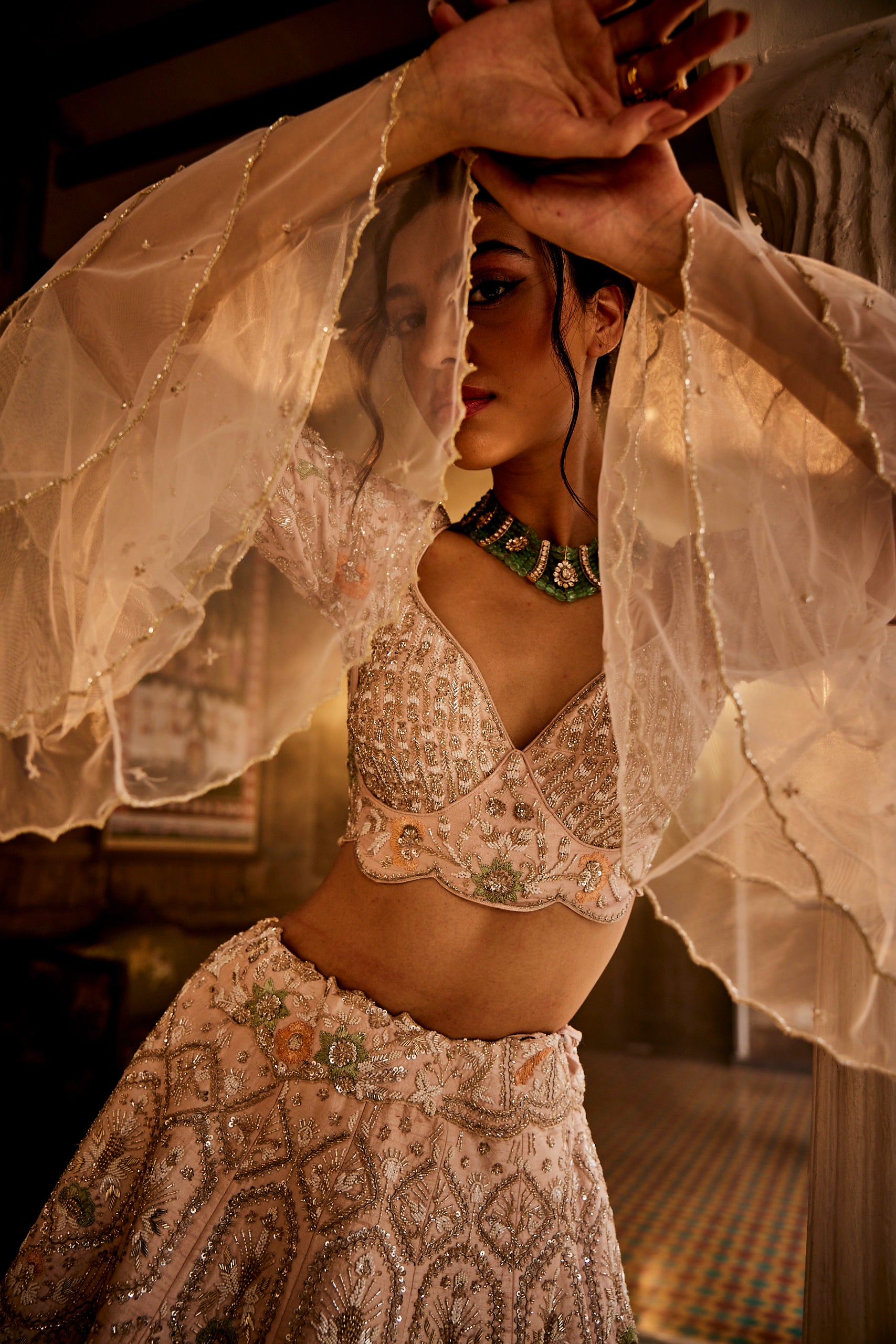 Demeter Nude pink Lehenga set